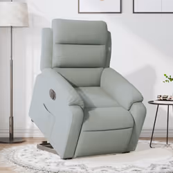 VidaXL 3205125 fauteuil