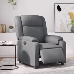 VidaXL 3205139 fauteuil