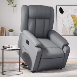 VidaXL 3205267 fauteuil