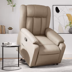 VidaXL 3205270 fauteuil