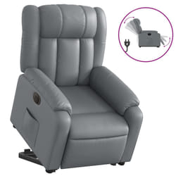 VidaXL 3205281 fauteuil