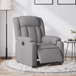 VidaXL 3205304 fauteuil