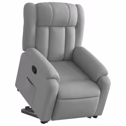 VidaXL 3205316 fauteuil