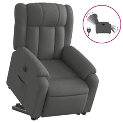 VidaXL 3205317 fauteuil
