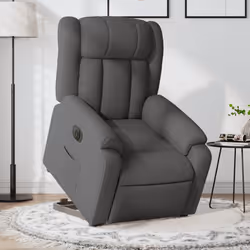 VidaXL 3205317 fauteuil