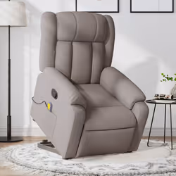 VidaXL 3205336 fauteuil