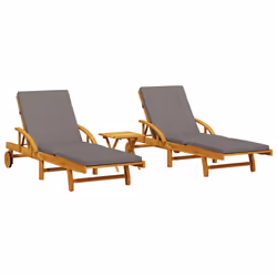 VidaXL 3206368, Linge, Siège rembourré, Bois d'acacia, Gris, 110 kg, 680 mm