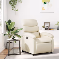 Asseyez-vous et détendez-vous dans ce fauteuil inclinable très confortable ! Fonction d'inclinaison manuelle : ce fauteuil in ...