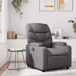 VidaXL 372468 fauteuil