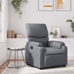 VidaXL 373437 fauteuil