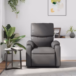 VidaXL 373444 fauteuil