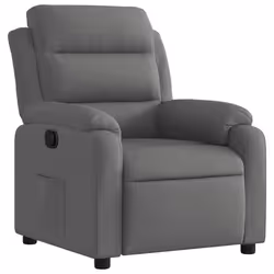 VidaXL 373463, Tissu, Gris, mousse, 110 kg, 750 mm, 925 mm