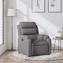 VidaXL 373463 fauteuil