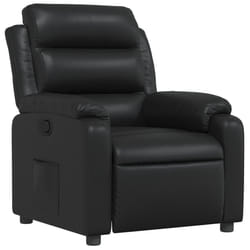 VidaXL 373486 fauteuil