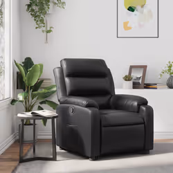 VidaXL 373486 fauteuil