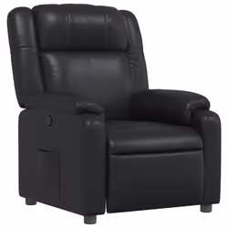 VidaXL 373522, Simili-cuir, Noir, mousse, 110 kg, 770 mm, 950 mm