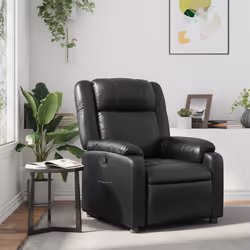 VidaXL 373522 fauteuil