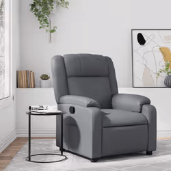 VidaXL 373525 fauteuil