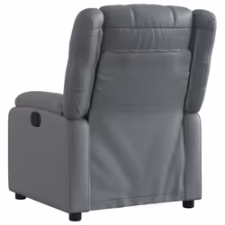 VidaXL 373525 fauteuil