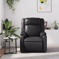 VidaXL 373529 fauteuil