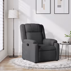 VidaXL 373537 fauteuil