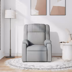 VidaXL 373548 fauteuil