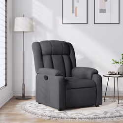 VidaXL 373575 fauteuil
