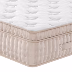 VidaXL 372873 matelas Mini taille unique Matelas à ressorts