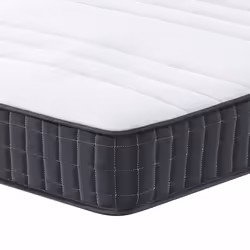 VidaXL 372930 matelas Taille enfant / adulte Matelas à ressorts
