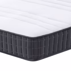 VidaXL 372937 matelas Mini taille unique Matelas à ressorts