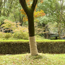 Vidaxl - Rouleaux De Jute 2 Pcs 1x50 M 100 % Jute 200 G/m²