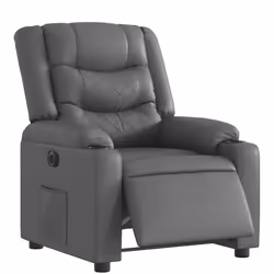 VidaXL 3206546 fauteuil