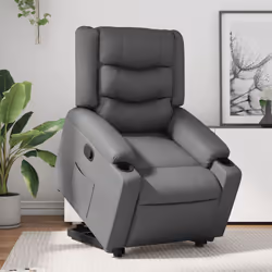 VidaXL 3206554 fauteuil