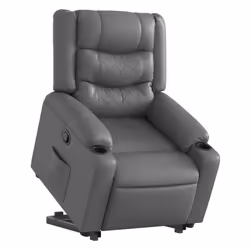 VidaXL 3206554 fauteuil
