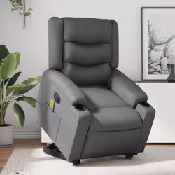 VidaXL 3206558 fauteuil