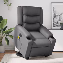 VidaXL 3206566 fauteuil