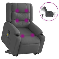 VidaXL 3206577 fauteuil