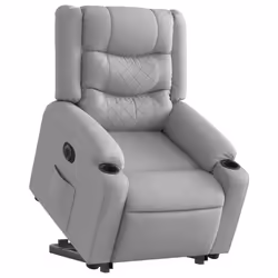 VidaXL 3206579 fauteuil