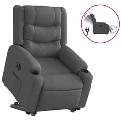 VidaXL 3206580 fauteuil