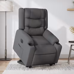 VidaXL 3206580 fauteuil