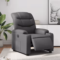 VidaXL 3206588 fauteuil