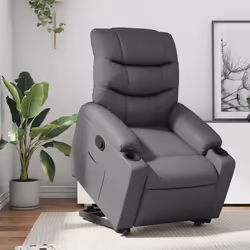 VidaXL 3206602 fauteuil