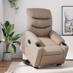 VidaXL 3206605 fauteuil