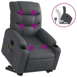 VidaXL 3206609 fauteuil