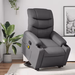 VidaXL 3206609 fauteuil