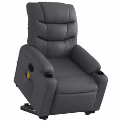VidaXL 3206609 fauteuil
