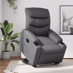 VidaXL 3206616 fauteuil