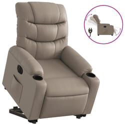 VidaXL 3206619 fauteuil