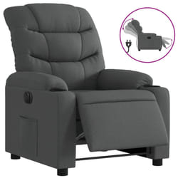 VidaXL 3206628 fauteuil