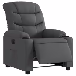 VidaXL 3206628 fauteuil